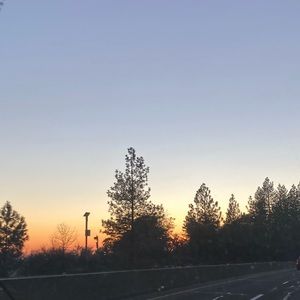 Meet your Posher, Maddie